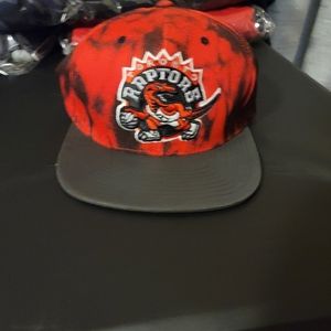 Raptors hat